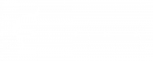Ficha